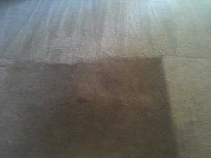 Carpet Cleaning Ruidoso Before and After 1