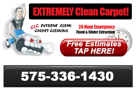 Extreme Carpet Cleaning