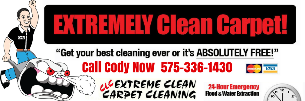 Extreme Carpet Cleaning